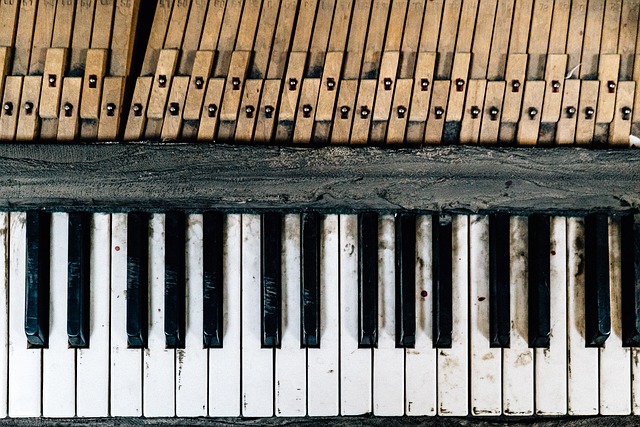 Wie man Klavier lernt/ Eine Einführung in den Prozess des Klavierlernens